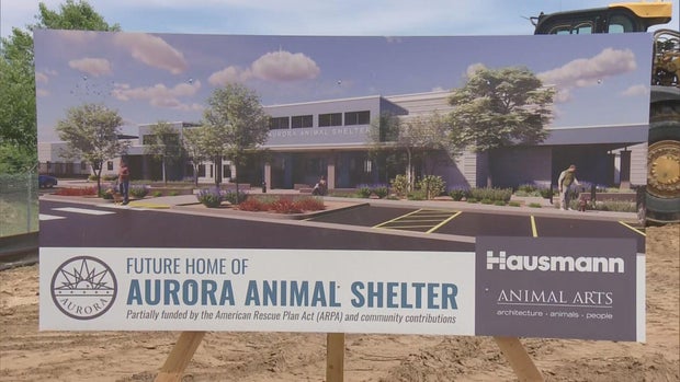 new-aurora-animal-shelter-5vo-transfer-frame-208.jpg 