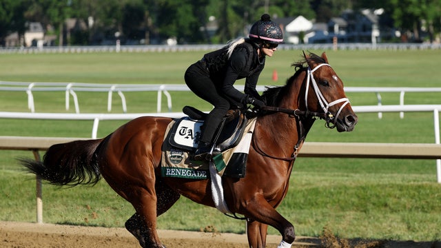 Renegade runs during a morning workout prior to the Belmont Stakes at Saratoga Race Course on June 4, 2026, in Saratoga Springs, New York. 