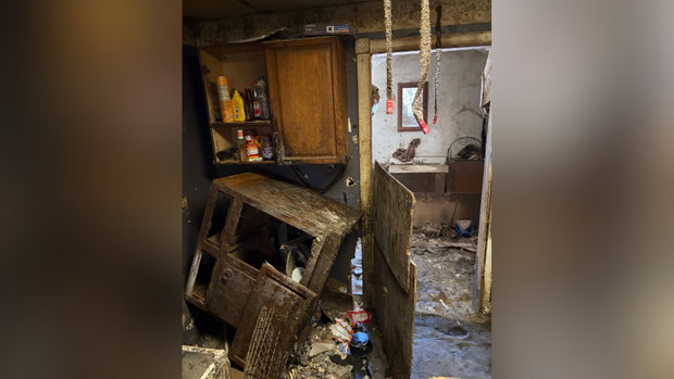 kdka-belle-vernon-dogs-cats-search-warrant.png 