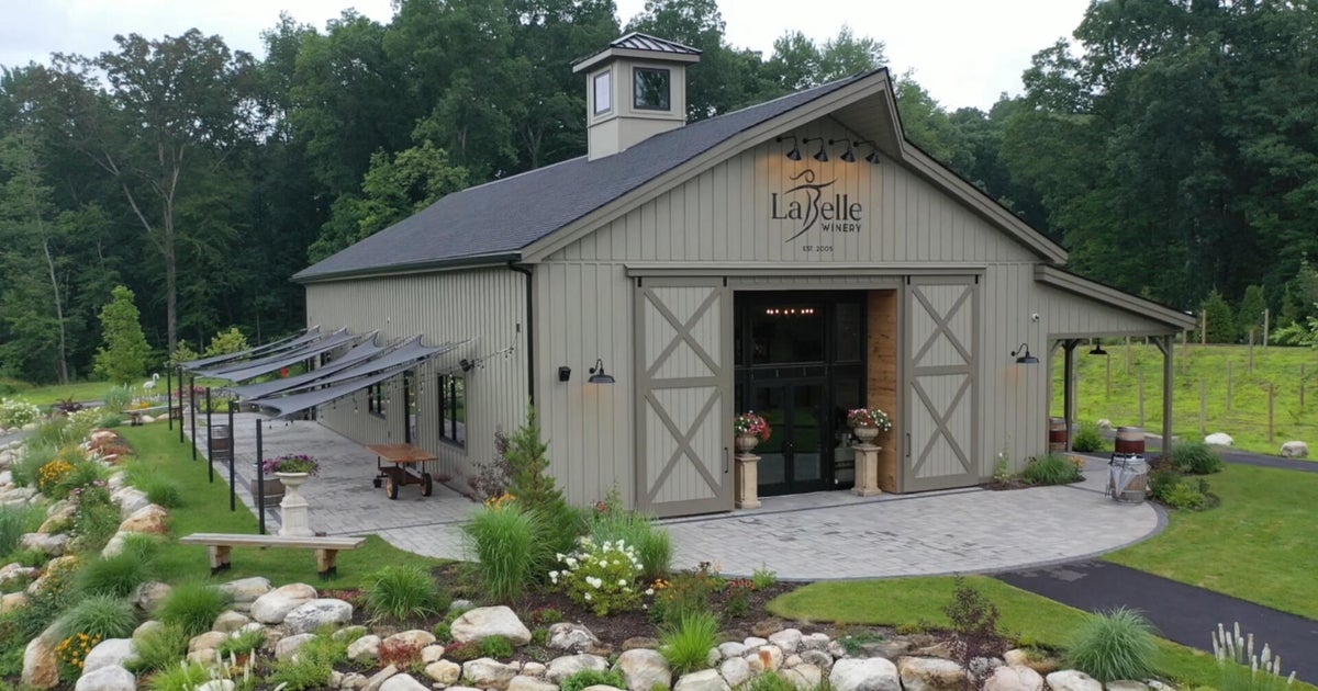 Inside the annual grape-harvest at an award-winning New Hampshire winery