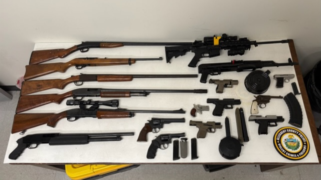 millvalegunbust.png 