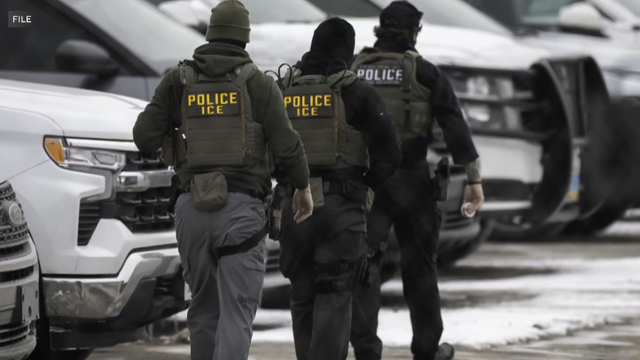 police-ice.png 