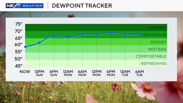 dewpoint-forecast.png 