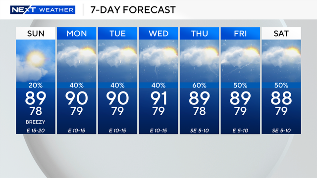7-day-miami.png 