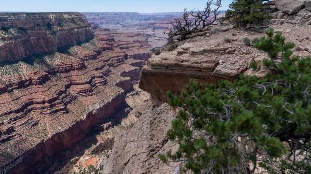 Grand Canyon Hotels 