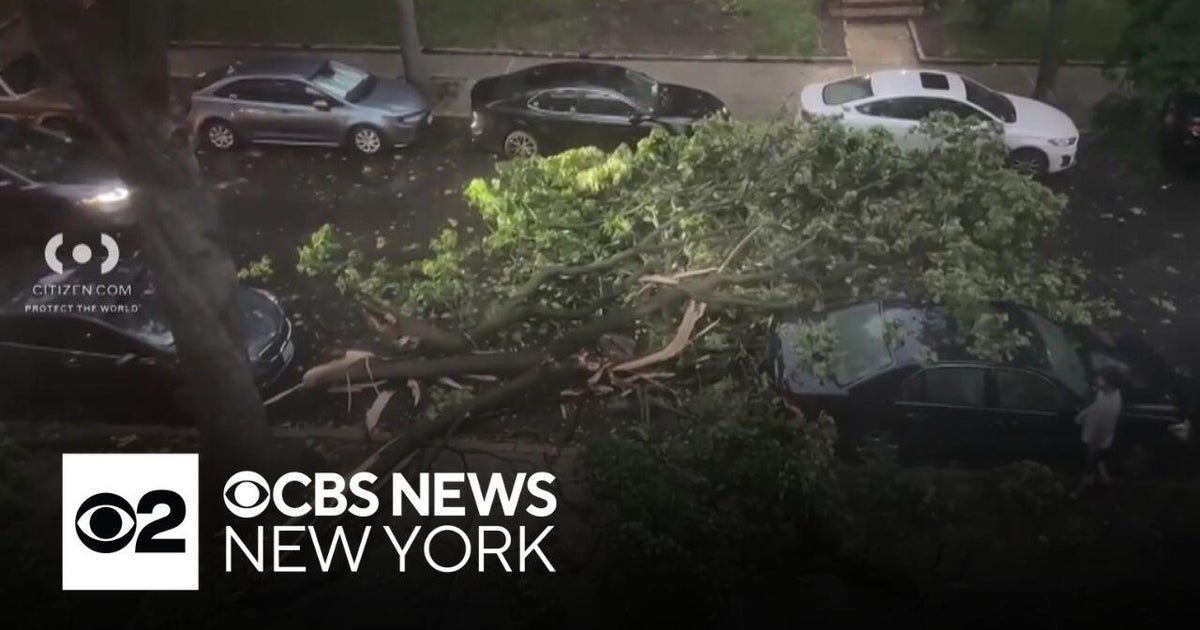 Storms down trees, cause damage across Tri-State Area