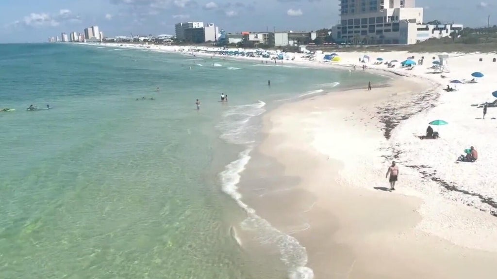 Shark attack off Florida coast leaves Navy base employee with critical injuries