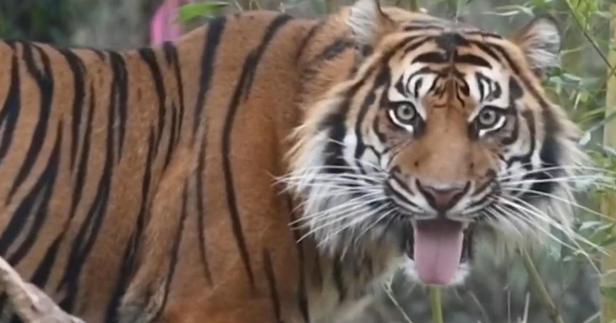 Nashville residents fighting proposed data center next to zoo