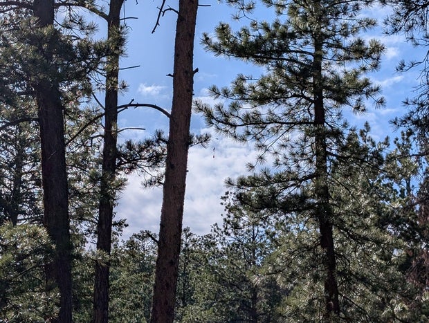 dougco-hiker-rescue-4-dougco-s-and-r.jpg