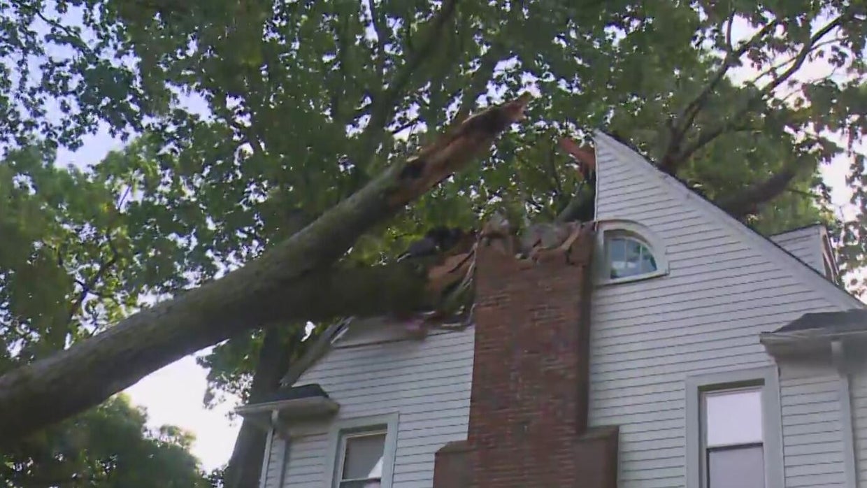 6-year-old girl rescued by father after tree falls on Dearborn home ...