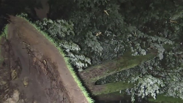 storm-damage-06-14-26.jpg 