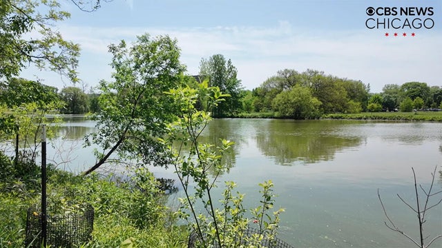 washington-park.jpg 