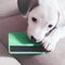 How pet insurance can allow you to spend more on your pets