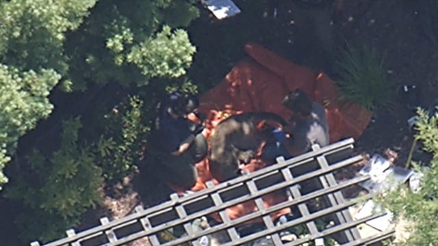 cbsn-fusion-woman-killed-in-suspected-mountain-lion-attack-in-colorado-thumbnail.jpg 
