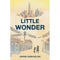 Oprah picks "Little Wonder" by Sophie Chen Keller for book club: Read an excerpt