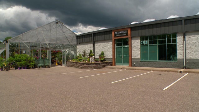 6p-pkg-forest-lake-cannabis-shop-wccoaoea-00-01-1208.jpg 
