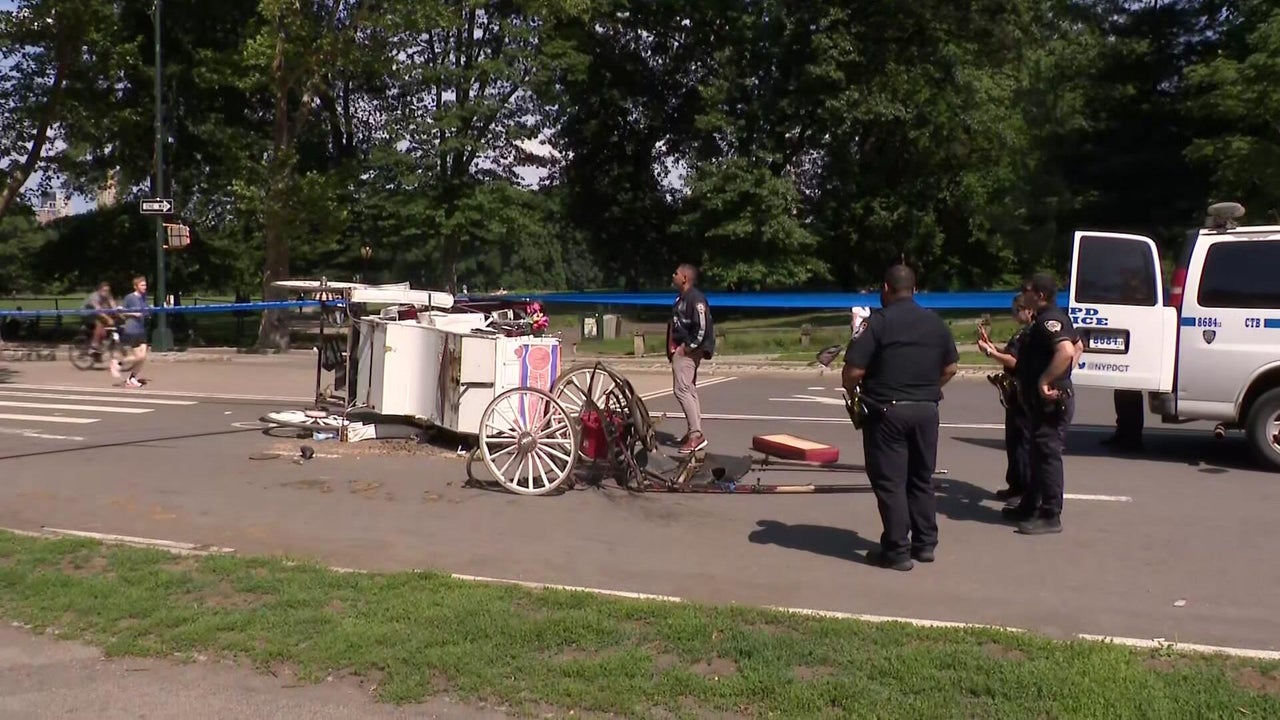 central-park-news-today-s-latest-updates-cbs-new-york