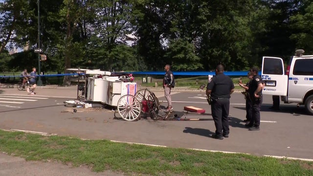 Horse carriage laying on its side in the street 