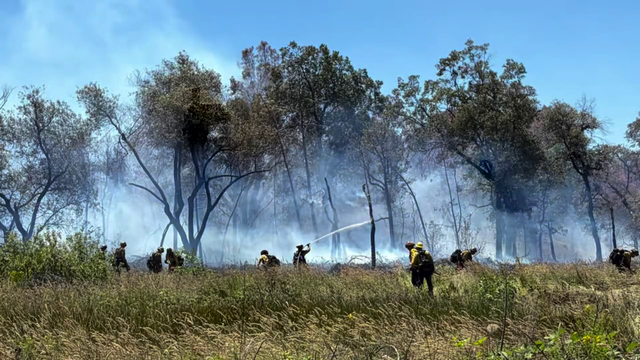 shasta-county-arson.png 