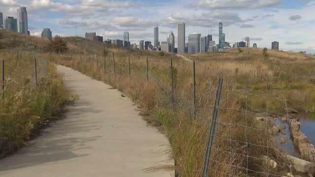 northerly-island.jpg 