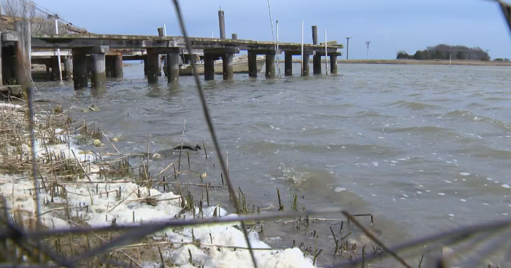 Maryland secures $15M to improve septic systems along the bay
