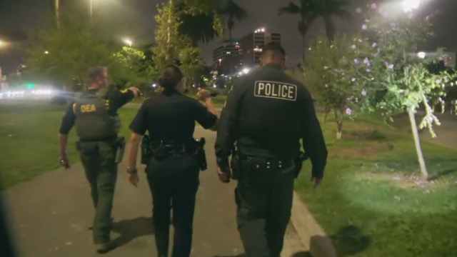 macarthur-park-drig-operation.png 