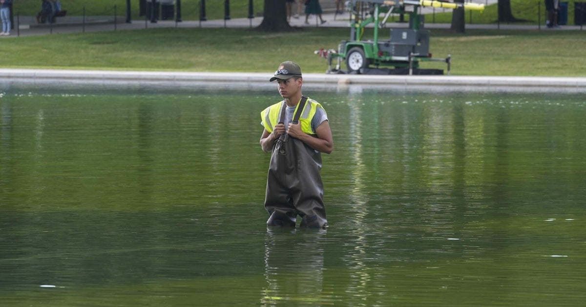 New problems arise for the Reflecting Pool after Trump’s renovations