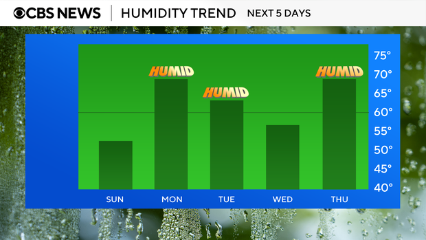 bar-graph-humidity-trend.png 