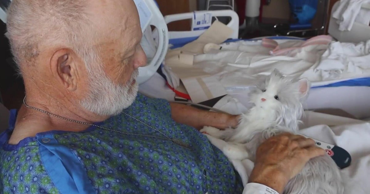 Robotic pet program brings joy to dementia patients at UCHealth University of Co...