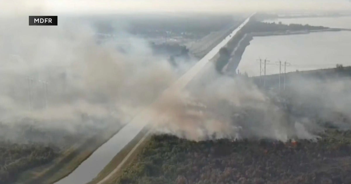 Miami wildfires near full containment after days of road closures ...