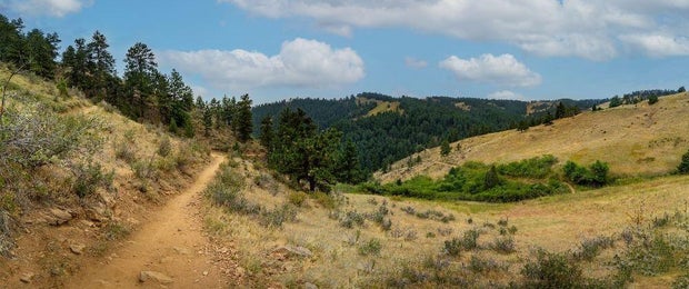 apex-park.jpg