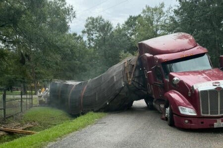 Beehives Truck Crash