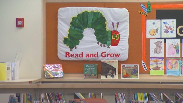 libraries.jpg 