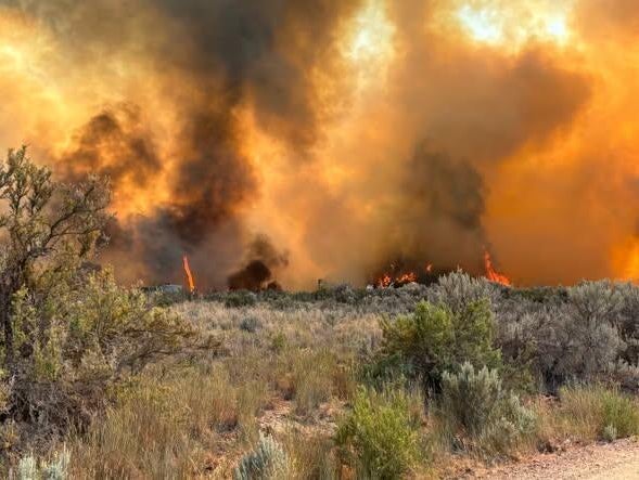 624-dry-creek-fire-1-colorado-river-fire-rescue.jpg 