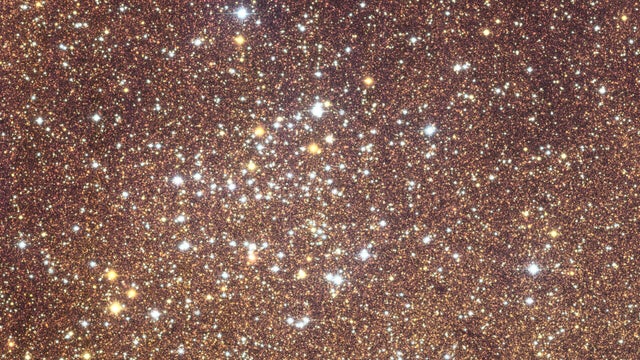 euclid-s-view-of-our-galaxy-s-bulge-article.jpg 