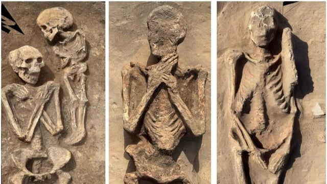 egypt-burials-2026.jpg 