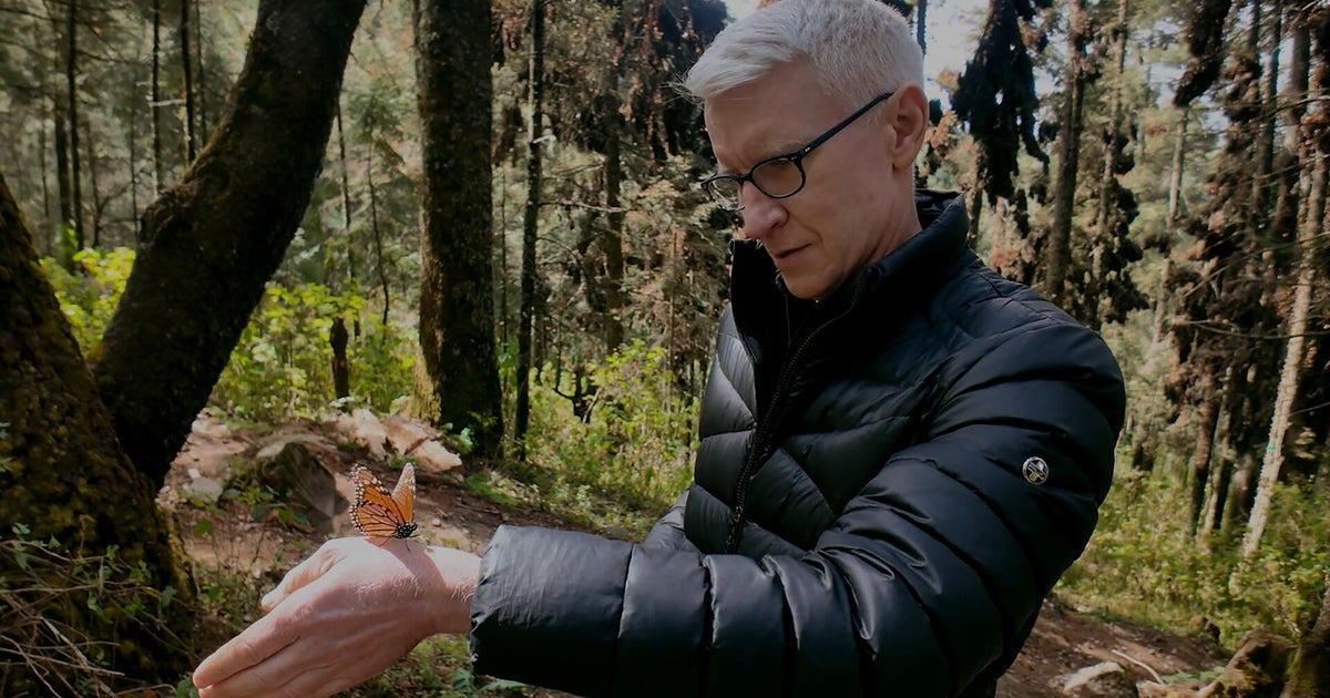 Anderson Cooper on witnessing the monarch butterfly migration