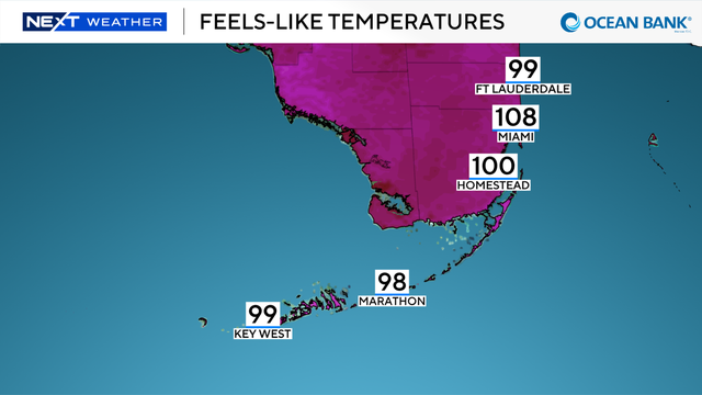next-wx-feels-like-graph-today.png 