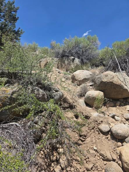 boulder2.jpg 