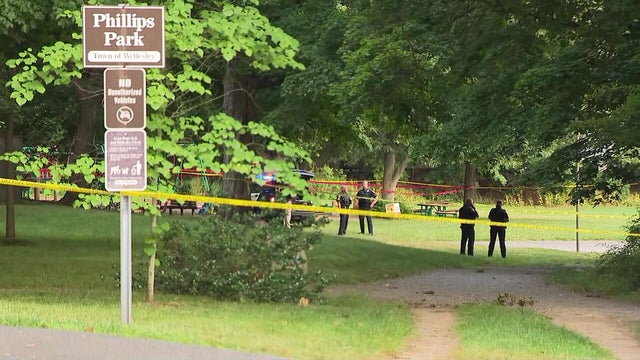 Wellesley stabbing 