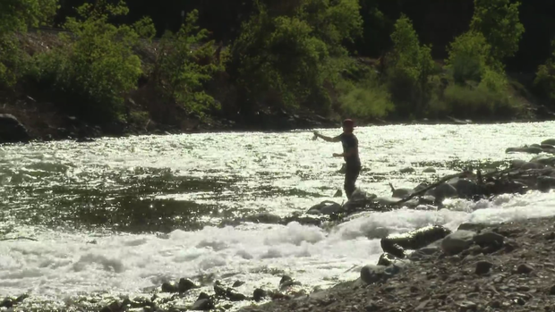 colorado-river.png 