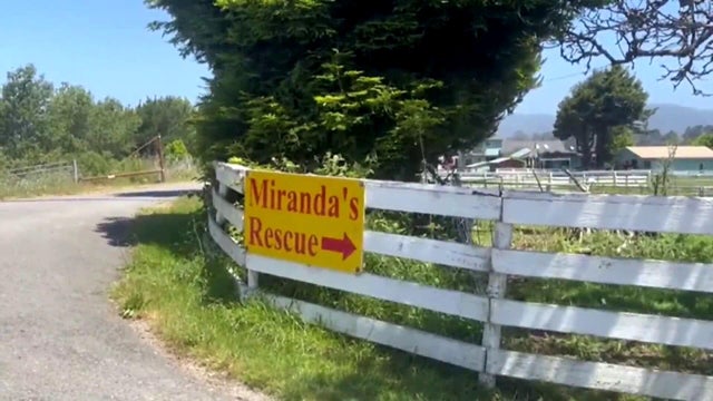The Humboldt County Sheriff's Office conducted a second search warrant at Miranda's Rescue 