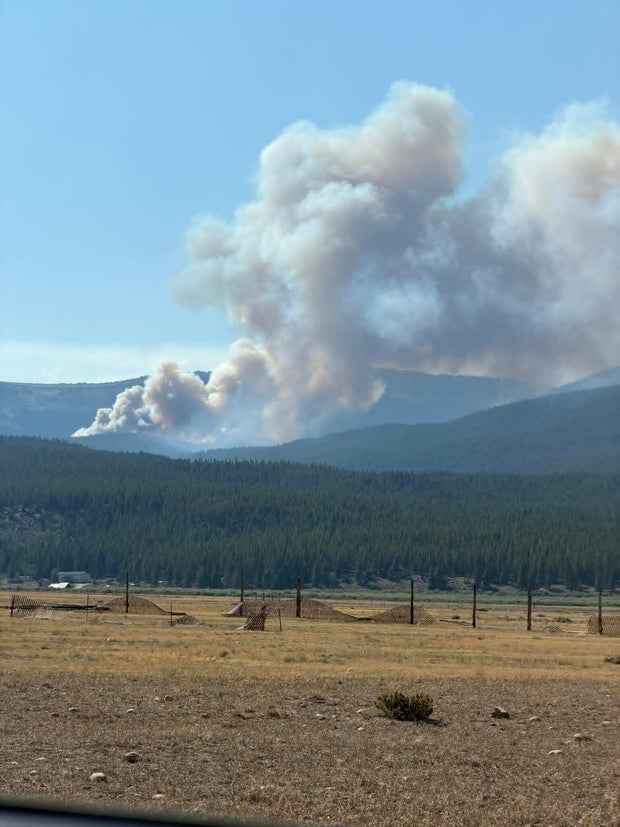 willow-fire-1-credit-shannon-cristie.jpg 