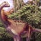Fossil found in drawer turns out to be first dinosaur bone from Antarctica