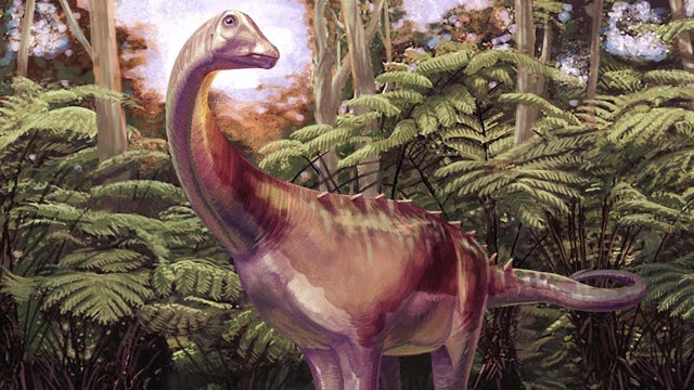antarctic-titanosaur-dinosaur-forest-reconstruction-full-width-andrew-mcafee-carnegie-museum-of-natural-history-jpg-thumb-1920-1920.jpg 