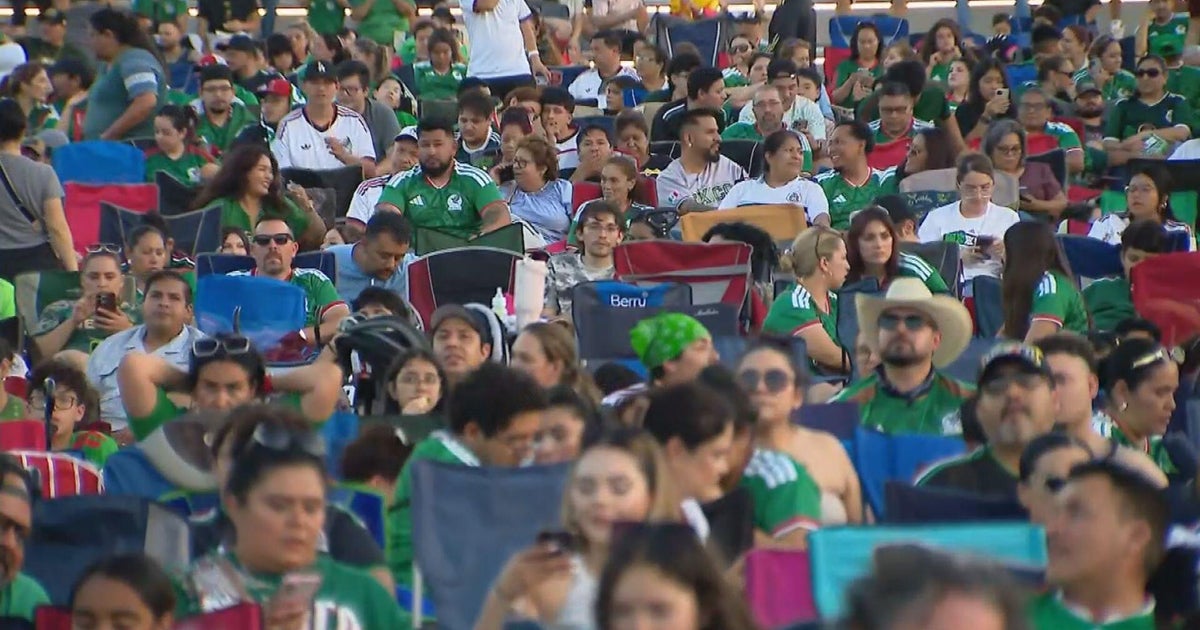 Mexico fans filled RiverEdge Park in Aurora, Illinois, to watch team take on Ecuador in World Cup