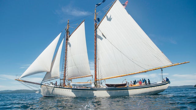 Schooner Race 