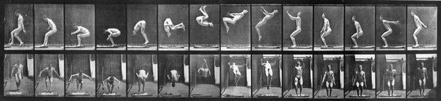 Acrobat