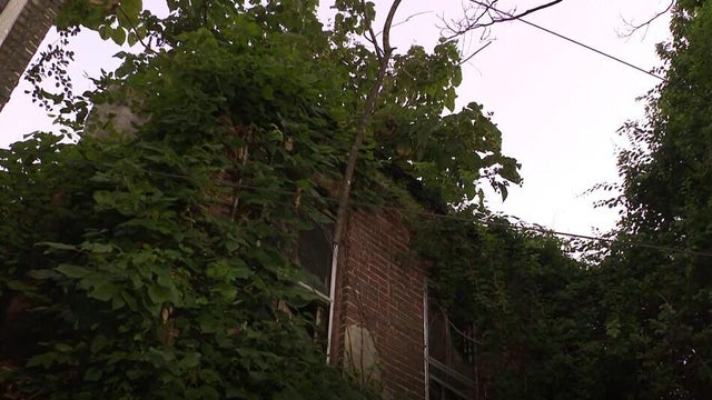 vacant.jpg 