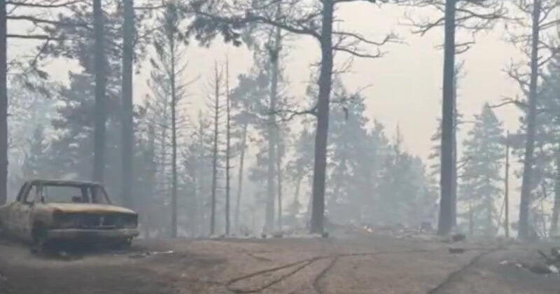 Colorado woman reunites with her father after losing home to Aspen Acres Fire: 
